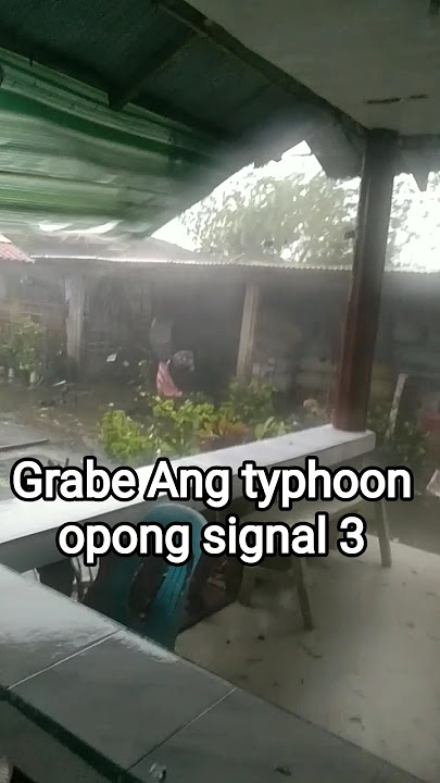 typhoon opong signal number 3