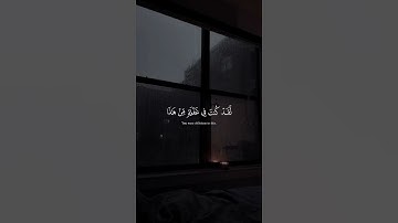 اكتب شيء تؤجر عليه 😴🤍 اذكر الله يذكرك #قران كريم بصوت القارئ ياسر الدوسري
