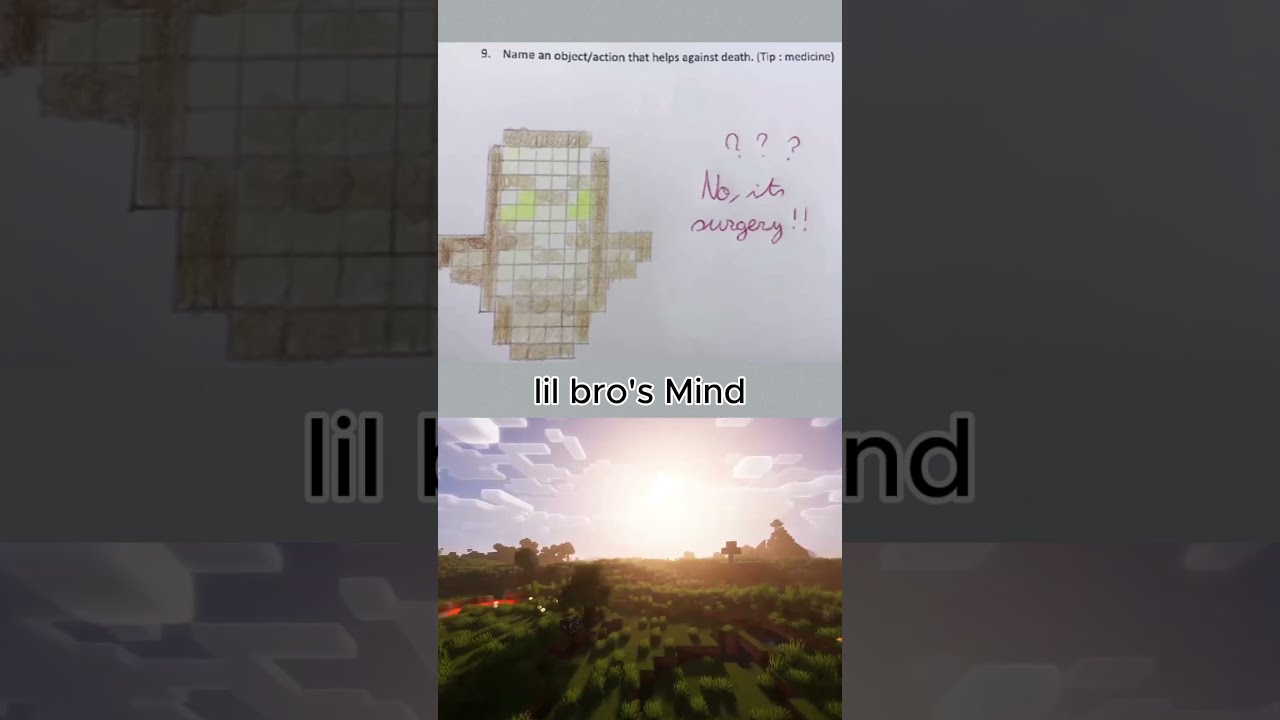 What Lil Bro Was Thinking Minecraft Viralvideo Shortsvideo Shorts Minecraftmemes