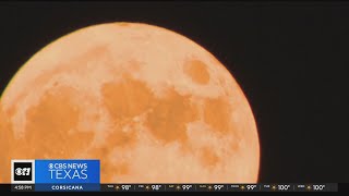 Dozens gather to capture rare super blue moon