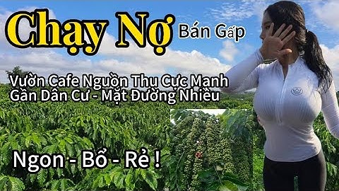 Cơ Hội Hiếm! Bán Gấp Lô Đất Rẫy Cafe Nguồn Thu Cực Mạnh - Bán Đất Đắk Nông Giá Tốt!
