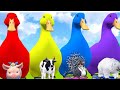 Long Slide Game With Elephant Gorilla Buffalo Hippopotamus Tiger 3d Animal Game Funny 3d Animals254