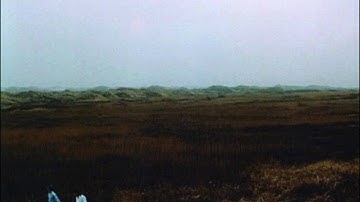 Transient Man by Millenia Nova feat. Kelli Ali