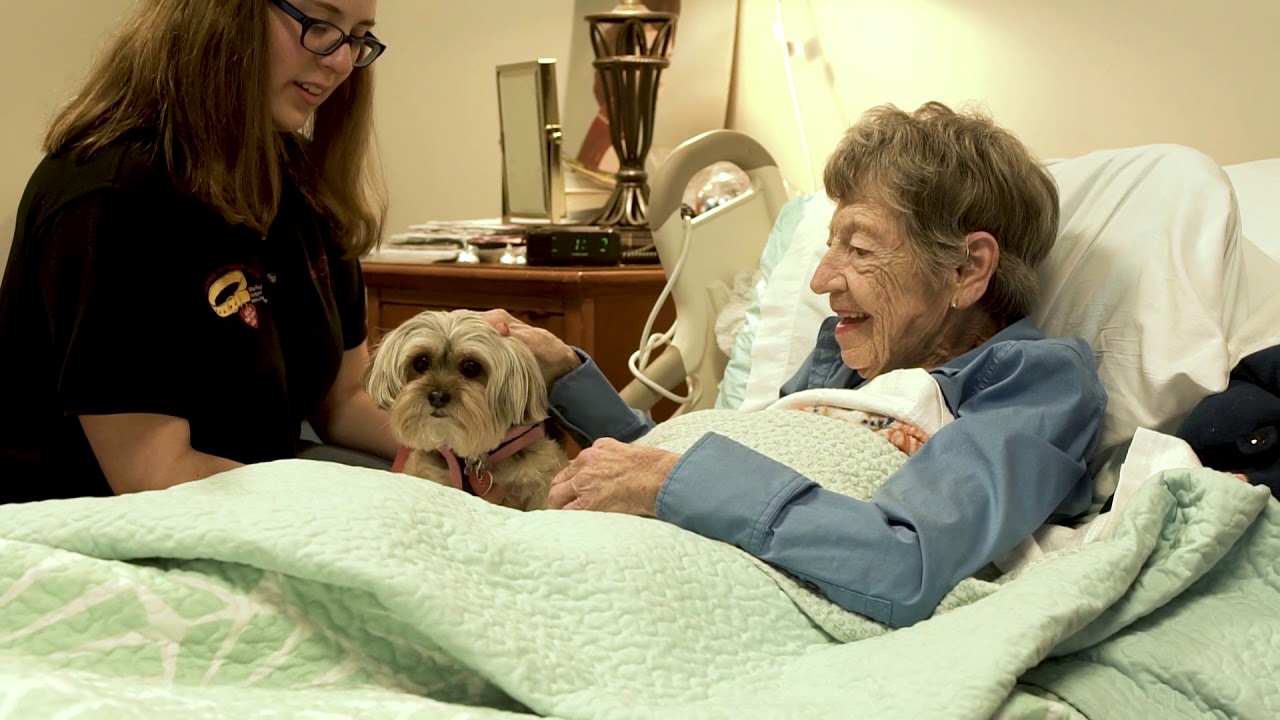 Alliance of Therapy Dogs - Sharing Smiles and Joy - YouTube
