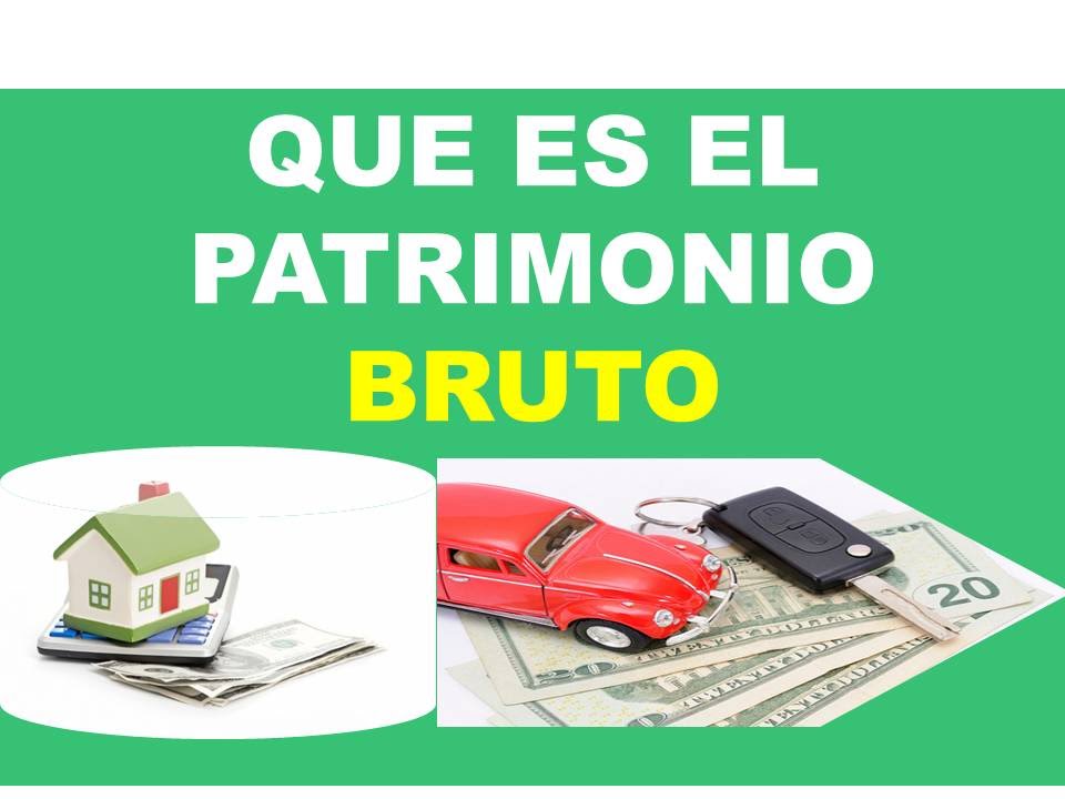 Que es el patrimonio bruto Contabilidad