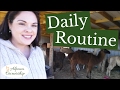 Paca Tuesday - Daily Alpaca Routine