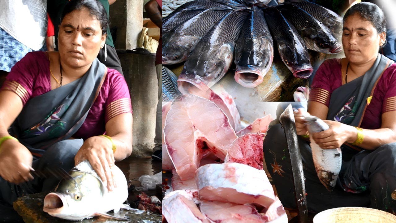 Amazing Live FISH Cutting Skills By Woman Fresh FISH Cutting Woman