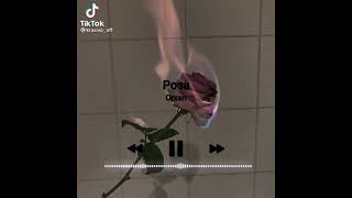 Роза 🌹