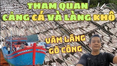 Tham quan CẢNG CÁ và LÀNG KHÔ Vàm Láng Gò Công 2023 #jackyvongquanhthegioi #vamlang #gocong #cangca