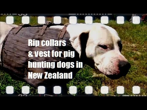 rip-collars-&-vests-for-hunting-dogs-in-nz