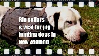 Rip collars & vests for hunting dogs in NZ