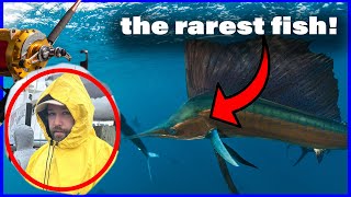 Can We Catch the RAREST Fish in the Ocean?! - Vlogmas Day 3