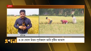 হাওরে ধান ৮০% পাকলেই কাটার পরামর্শ | Habiganj Paddy | Agriculture | Ekhon TV