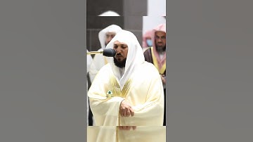 أداء كردي محبر من الشيخ ماهر المعيقلي سورة المائدة