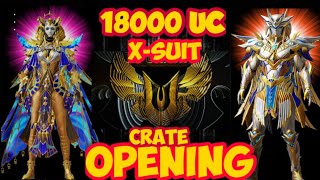 X-SUIT New GOLDEN PHARAOH crate opening