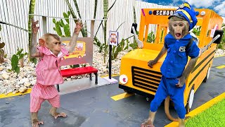 Bim Bim Monkey Drives Magic School Bus To Take Cutest Baby Go To School | Baby Monkey Animal