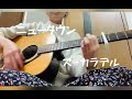 ニュータウン / ズーカラデル (cover)【ギター弾き語り】サビ歌詞