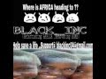 Black inc officialhealing africa