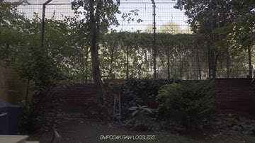 BMPCC4K vs GH5s extreme dynamic range comparison, pro res, raw, h264 all-i