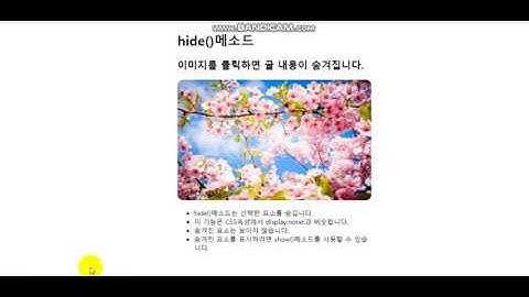 제이쿼리의 숨기기   -  hide() 메소드JQuery hide() method and $(this), children(), next()