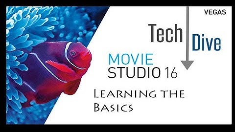 Movie Studio 16 Platinum: Learning the Basics