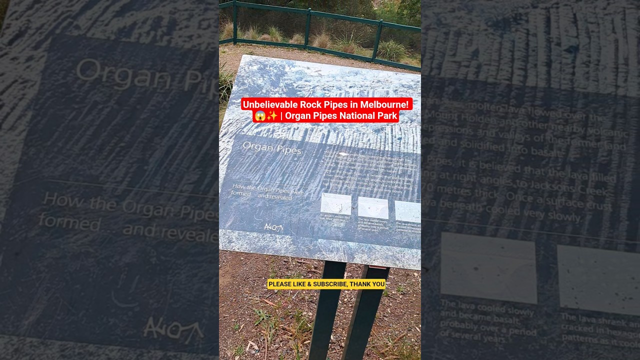 Unbelievable Rock Pipes in Melbourne! 😱✨ | Organ Pipes National Park 