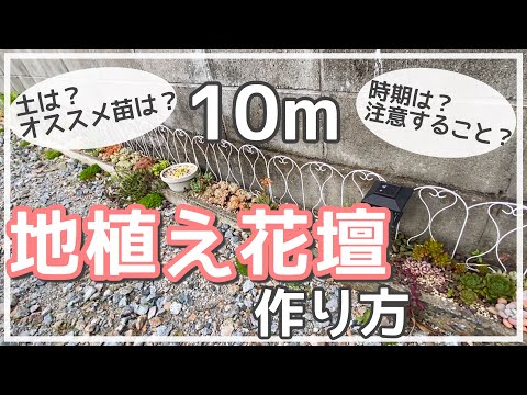 多肉植物 地植え花壇の作り方とお手入れ Youtube