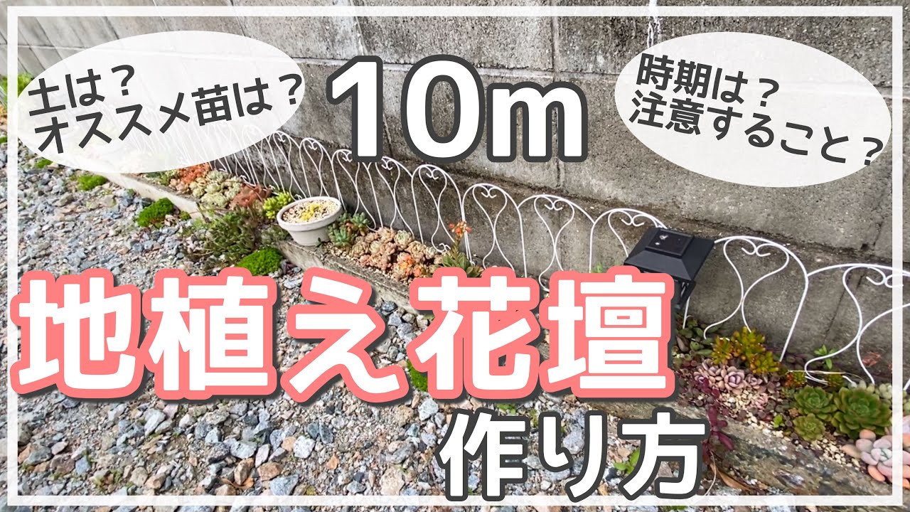 多肉植物 地植え花壇の作り方とお手入れ Youtube