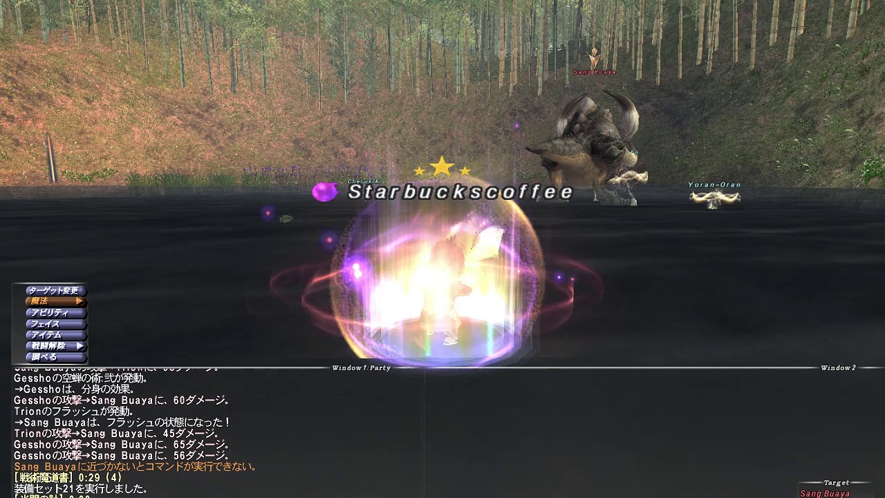 Ff11 計略ダメ測定 学者 Ffxi Sch Helix Test Storm Ii Only 10k Damage Youtube Ff11 計略ダメ測定 学者 Ffxi Sch Helix Test Storm Ii Only 10k Damage Youtube