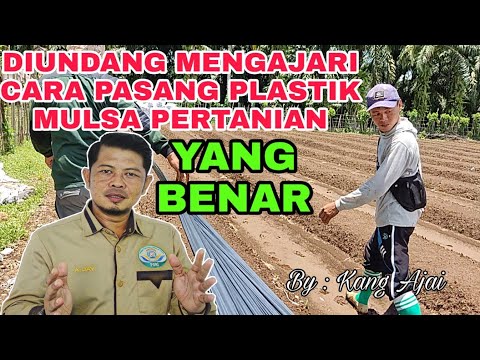 Video: Pemasangan lereng plastik: teknik, bahan dan alat yang diperlukan