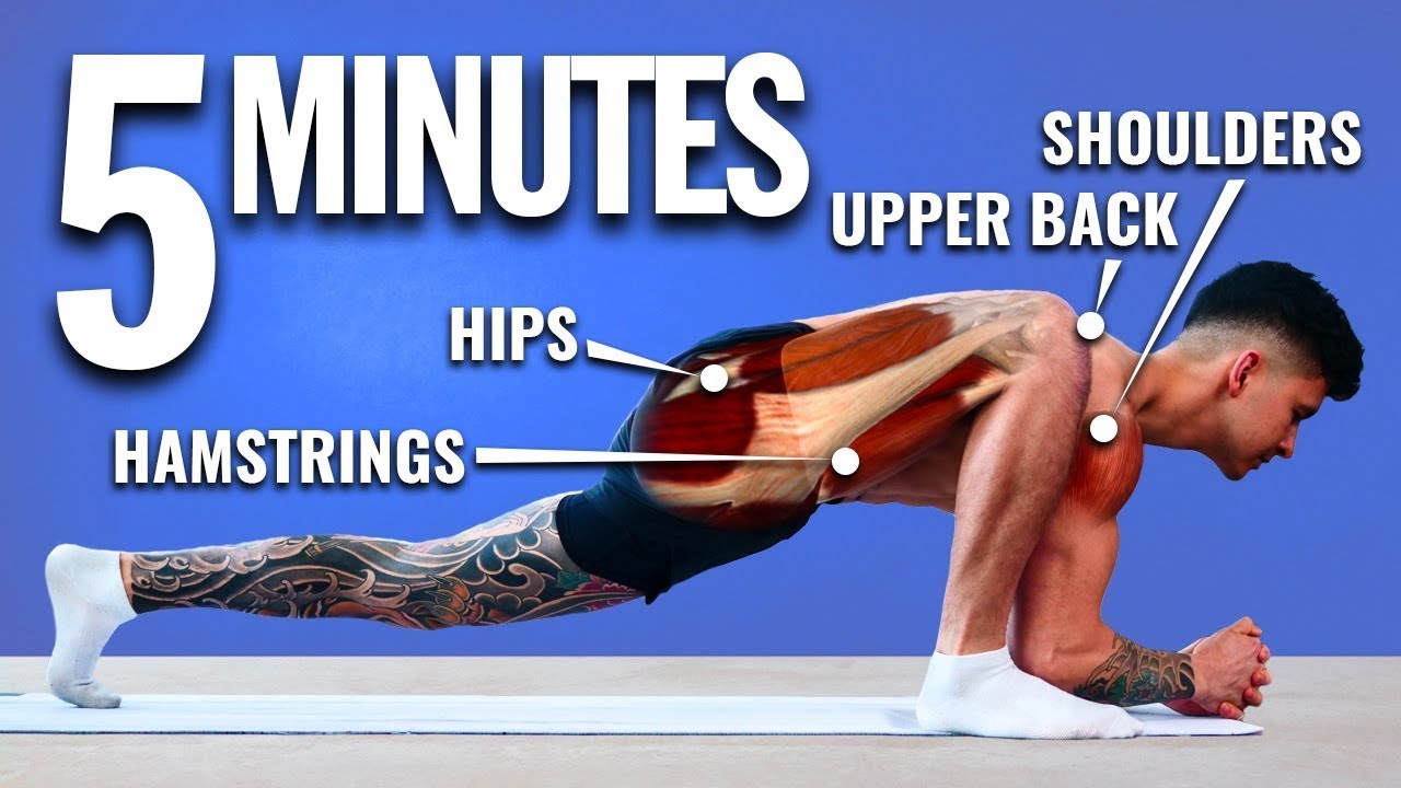15 Minute Gentle Full Body Stretch