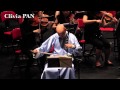 Chinese music :Guo Gan - Butterfly Lovers 梁祝 (ErHu Concerto)