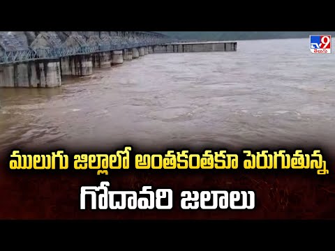 ములుగు జిల్లాలో అంతకంతకూ పెరుగుతున్న గోదావరి జలాలు - TV9 - TV9