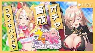 ニュイ・ソシエール の配信のサムネイル画像