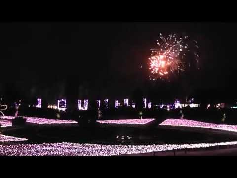 とっとり花回廊　最終日の冬花火。