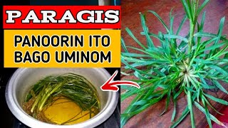 Paragis The Hidden Truth Benepisyo At Mga Kaalaman