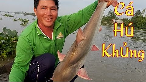 Giăng Câu Lần Đầu Tiên / Dính Con Cá Hú 5Kg / Săn Bắt Đồng Tháp / Kiềm Rapper #56