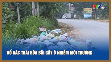 Đổ rác thải bừa bãi gây ô nhiễm môi trường
