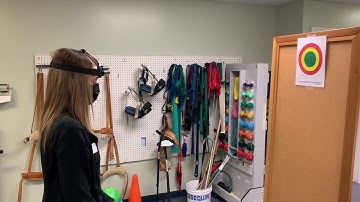 Joint Position Error Test