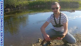 видео: Рыбалка с берега на спиннинг в жару | Angeln bei der Hitze | FISHING IN THE HEAT | #РЫБАЛКАВГЕРМАНИИ картинка: Рыбалка с берега на спиннинг в жару | Angeln bei der Hitze | FISHING IN THE HEAT | #РЫБАЛКАВГЕРМАНИИ