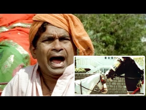 brahmanandam-non-stop-comedy-entertainment-scene-|-comedy-express