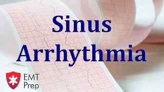 Sinus Arrhythmia ECG - EMTprep.com