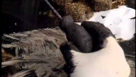 Core Formed Vase (Technique)