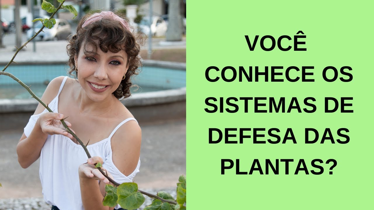 AS PLANTAS NÃO ESTÃO INDEFESAS - o sistema imune das plantas