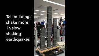 Tall building vs short buildings during earthquakes