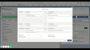 Salesforce Lead Conversion Explained