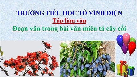 TẬP LÀM VĂN_ ĐOẠN VĂN TRONG BÀI VĂN MIÊU TẢ CÂY CỐI_ TUẦN 23 LỚP 4