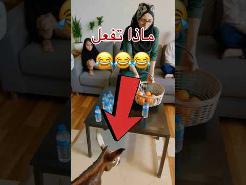 من اين اتيت يا هذا