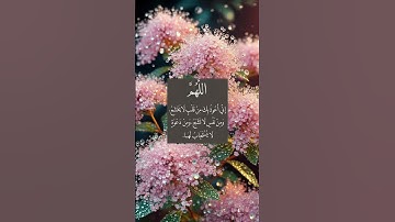 هنالك دعا زكريا ربه # القرآن الكريم # جوهرة القرآن