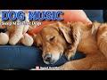 20 Hours of Calming Dog Music🦮💖Soft Dog Music for Stress Relief🎵🦮Support for Lonely Dogs, Dog TV